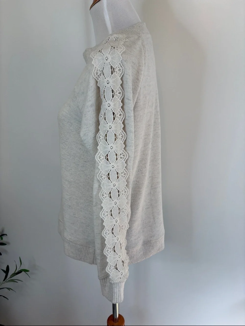 Democracy Cream Lace-Accent Sleeves Crewneck Sweater | XS